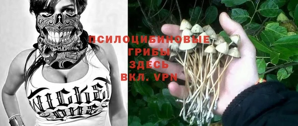Альфа ПВП Нягань