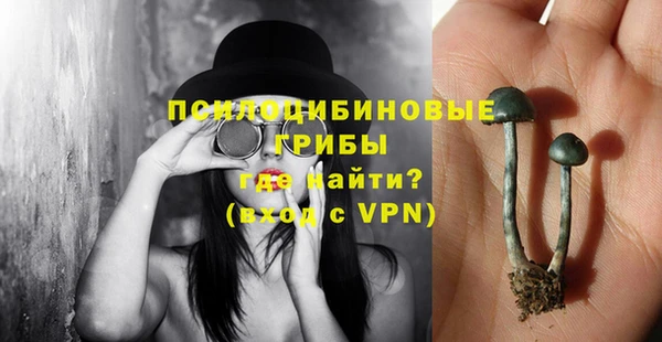 Альфа ПВП Нягань