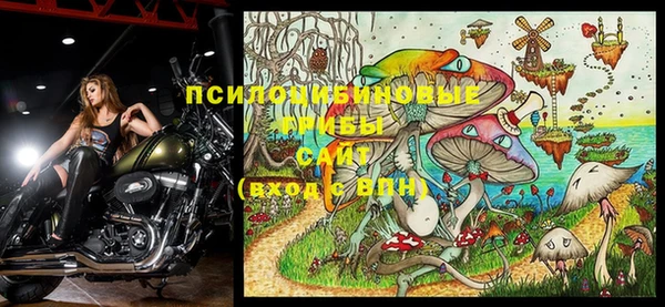 скорость Няндома