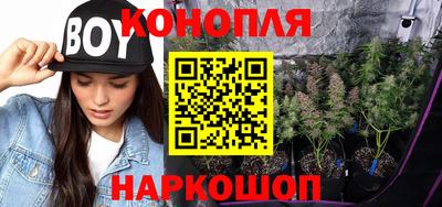Альфа ПВП Волгодонск