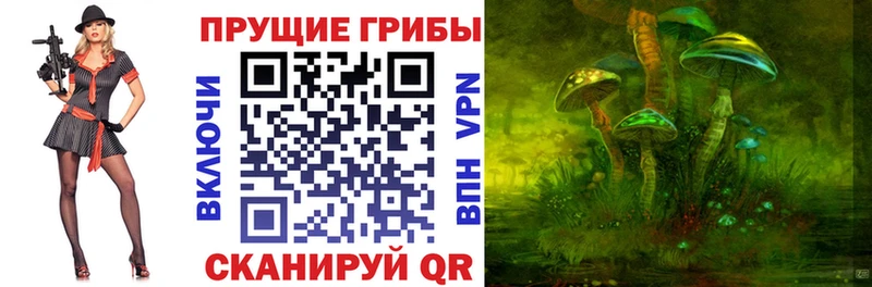 Галлюциногенные грибы GOLDEN TEACHER  Краснодар 