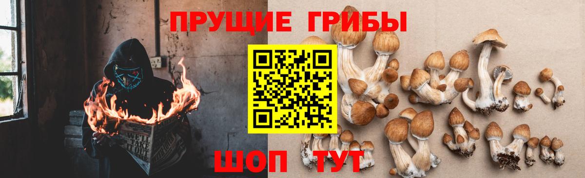 Псилоцибиновые грибы ЛСД  Вход с VPN  Краснодар 